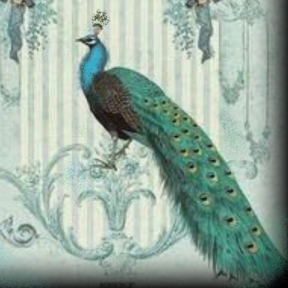 Welcome to the Prancing Peacock Boutique - Picture 2 of 8